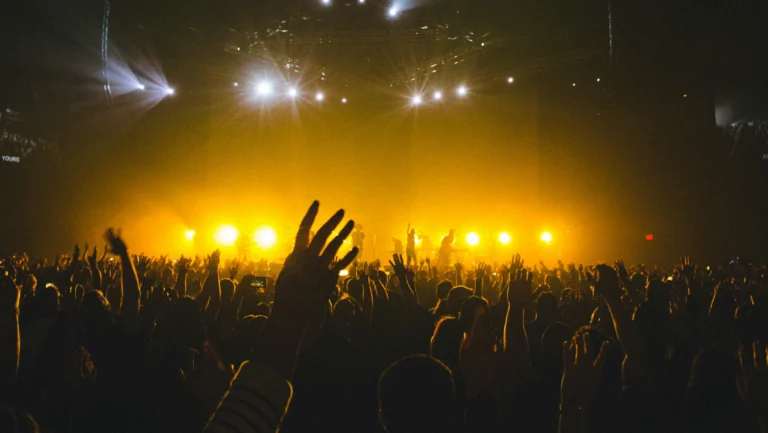 Crowds at an Indian music festival highlighting the challenges of building sustainable festival IPs, securing sponsorships, and growing live entertainment events.